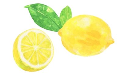 レモンイラスト