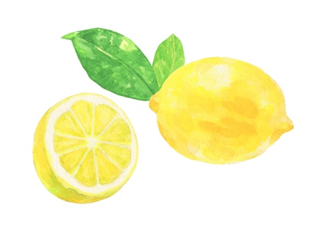 レモンイラスト